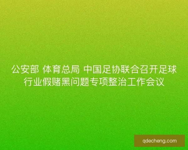 公安部 体育总局 中国足协联合召开足球行业假赌黑问题专项整治工作会议